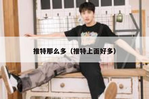 推特那么多（推特上面好多） 第1张