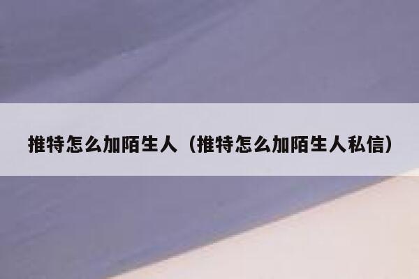 推特怎么加陌生人（推特怎么加陌生人私信） 第1张