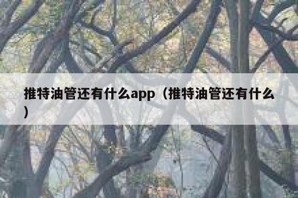 推特油管还有什么app（推特油管还有什么） 第1张