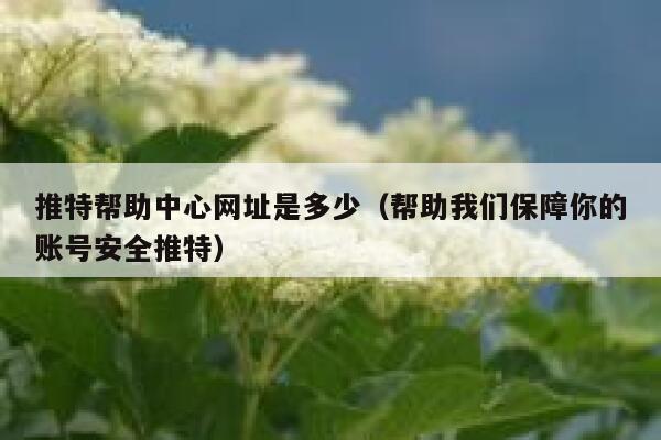 推特帮助中心网址是多少（帮助我们保障你的账号安全推特） 第1张