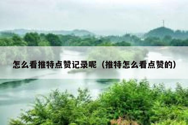 怎么看推特点赞记录呢（推特怎么看点赞的） 第1张