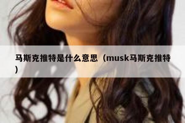马斯克推特是什么意思（musk马斯克推特） 第1张