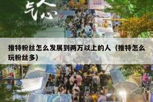 推特粉丝怎么发展到两万以上的人（推特怎么玩粉丝多） 第1张
