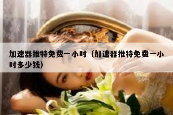 加速器推特免费一小时（加速器推特免费一小时多少钱） 第1张
