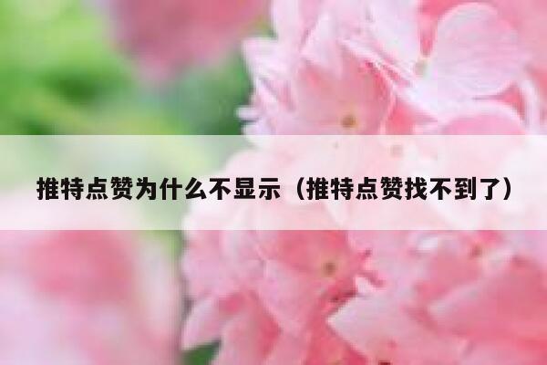 推特点赞为什么不显示（推特点赞找不到了） 第1张