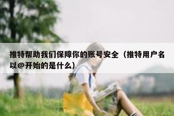 推特帮助我们保障你的账号安全（推特用户名以@开始的是什么） 第1张