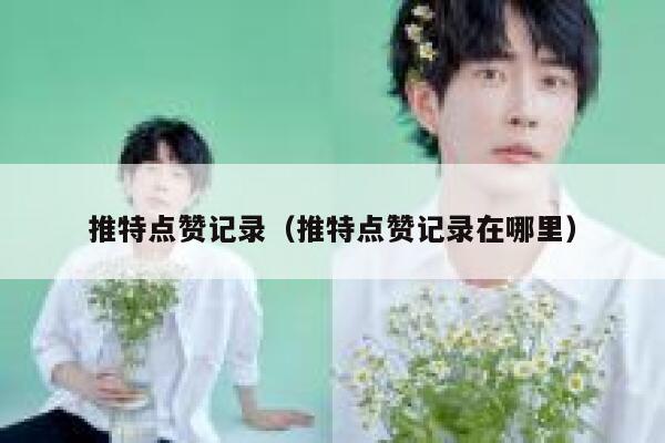 推特点赞记录（推特点赞记录在哪里） 第1张