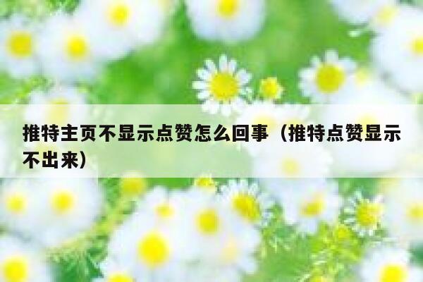 推特主页不显示点赞怎么回事（推特点赞显示不出来） 第1张