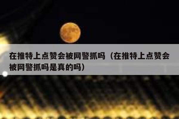 在推特上点赞会被网警抓吗（在推特上点赞会被网警抓吗是真的吗） 第1张