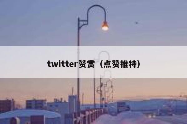 twitter赞赏（点赞推特） 第1张