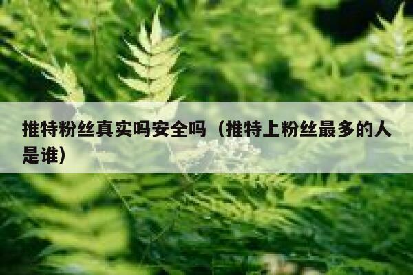 推特粉丝真实吗安全吗（推特上粉丝最多的人是谁） 第1张