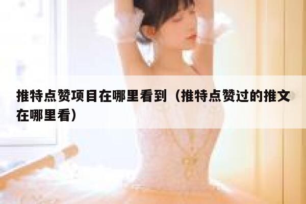 推特点赞项目在哪里看到（推特点赞过的推文在哪里看） 第1张