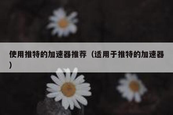 使用推特的加速器推荐（适用于推特的加速器） 第1张