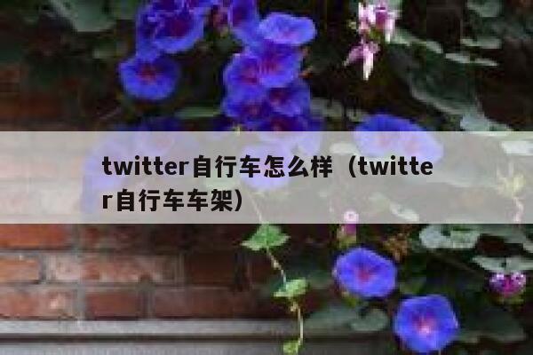 twitter自行车怎么样（twitter自行车车架） 第1张