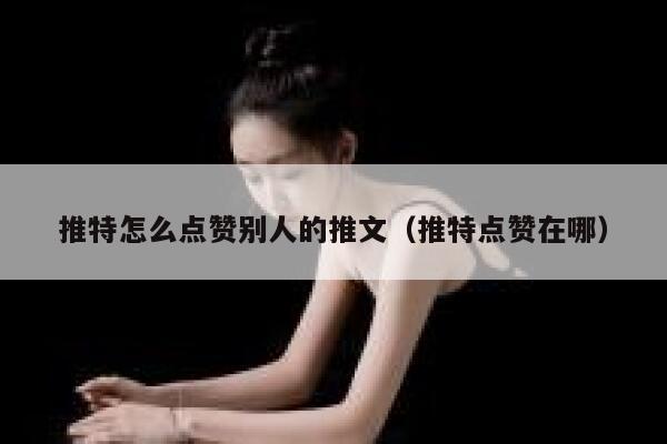 推特怎么点赞别人的推文（推特点赞在哪） 第1张