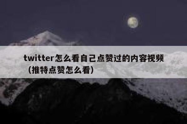 twitter怎么看自己点赞过的内容视频（推特点赞怎么看） 第1张