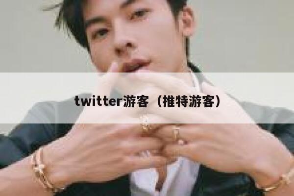 twitter游客（推特游客） 第1张