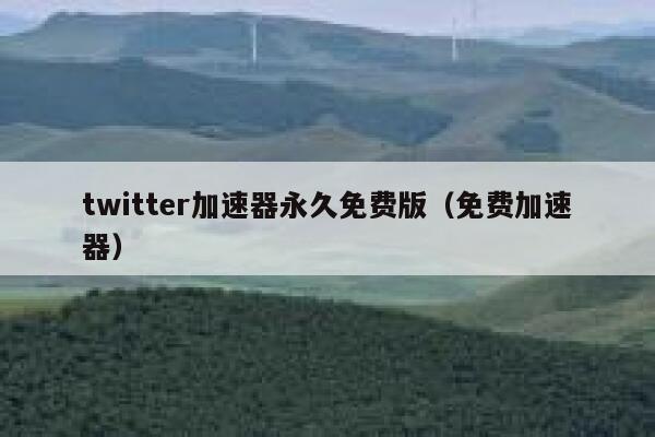 twitter加速器永久免费版（免费加速器） 第1张