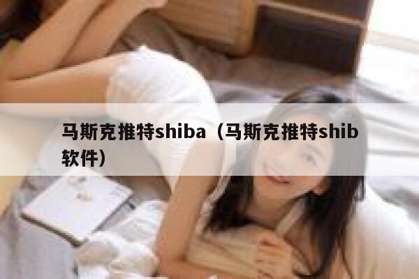 马斯克推特shiba（马斯克推特shib软件） 第1张