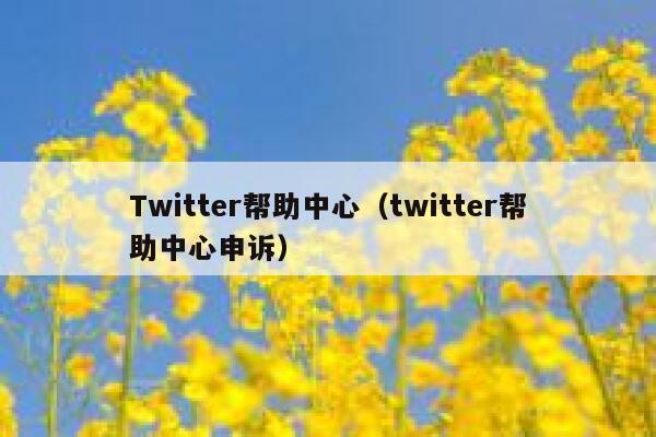 Twitter帮助中心（twitter帮助中心申诉） 第1张