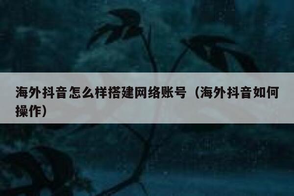 海外抖音怎么样搭建网络账号（海外抖音如何操作） 第1张