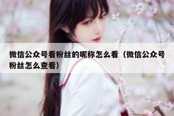 微信公众号看粉丝的昵称怎么看（微信公众号粉丝怎么查看） 第1张