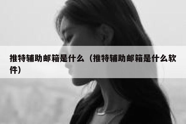 推特辅助邮箱是什么（推特辅助邮箱是什么软件） 第1张