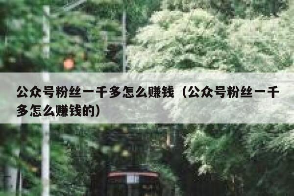 公众号粉丝一千多怎么赚钱（公众号粉丝一千多怎么赚钱的） 第1张