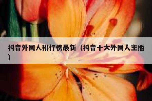 抖音外国人排行榜最新（抖音十大外国人主播） 第1张