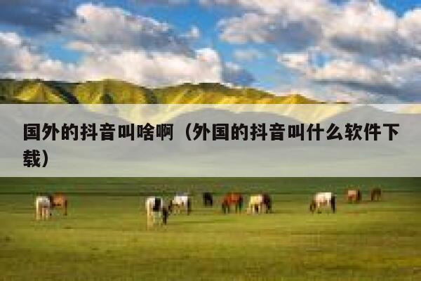国外的抖音叫啥啊（外国的抖音叫什么软件下载） 第1张