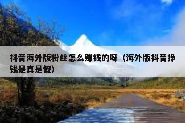 抖音海外版粉丝怎么赚钱的呀（海外版抖音挣钱是真是假） 第1张