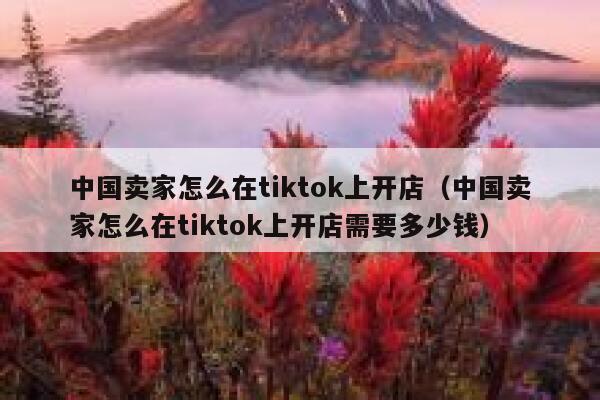 中国卖家怎么在tiktok上开店（中国卖家怎么在tiktok上开店需要多少钱） 第1张