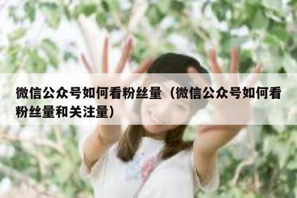 微信公众号如何看粉丝量（微信公众号如何看粉丝量和关注量） 第1张