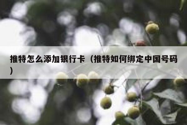 推特怎么添加银行卡（推特如何绑定中国号码） 第1张