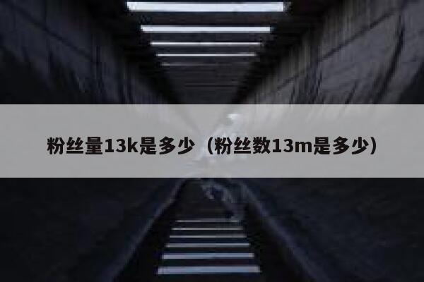 粉丝量13k是多少（粉丝数13m是多少） 第1张