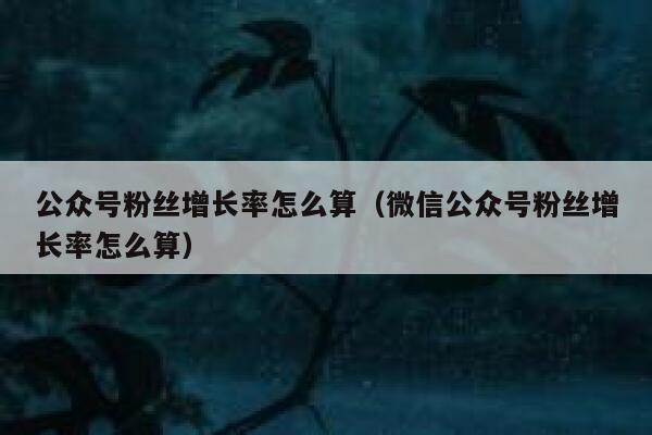 公众号粉丝增长率怎么算（微信公众号粉丝增长率怎么算） 第1张