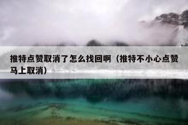 推特点赞取消了怎么找回啊（推特不小心点赞马上取消） 第1张