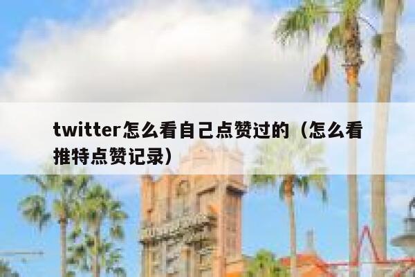 twitter怎么看自己点赞过的（怎么看推特点赞记录） 第1张