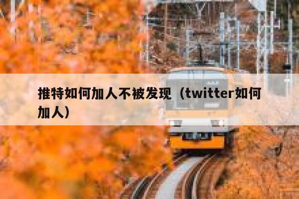 推特如何加人不被发现（twitter如何加人） 第1张