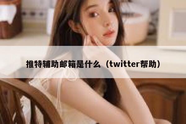 推特辅助邮箱是什么（twitter帮助） 第1张