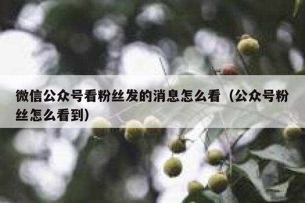 微信公众号看粉丝发的消息怎么看（公众号粉丝怎么看到） 第1张