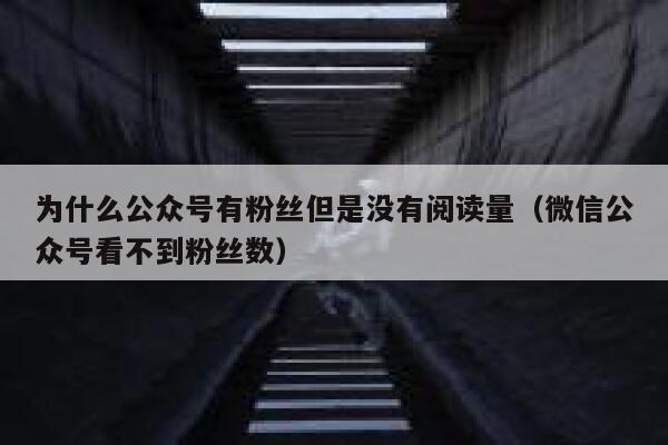 为什么公众号有粉丝但是没有阅读量（微信公众号看不到粉丝数） 第1张