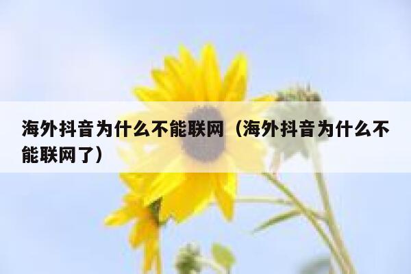 海外抖音为什么不能联网（海外抖音为什么不能联网了） 第1张