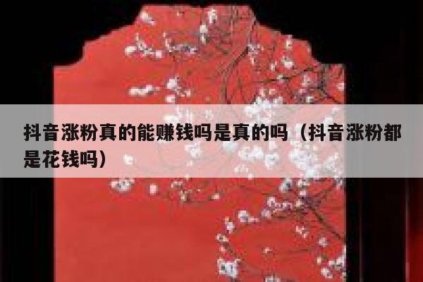 抖音涨粉真的能赚钱吗是真的吗（抖音涨粉都是花钱吗） 第1张