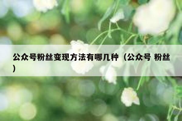 公众号粉丝变现方法有哪几种（公众号 粉丝） 第1张