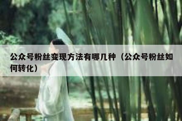 公众号粉丝变现方法有哪几种（公众号粉丝如何转化） 第1张