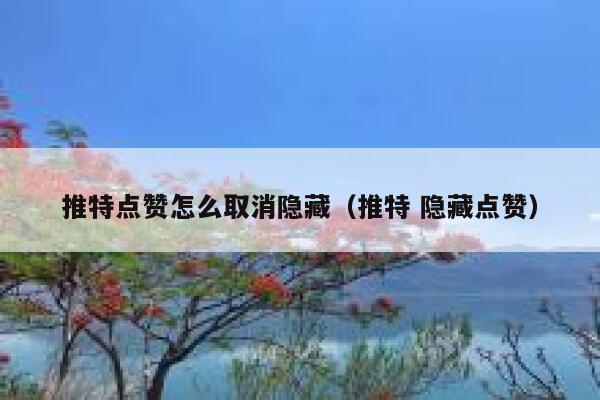 推特点赞怎么取消隐藏（推特 隐藏点赞） 第1张