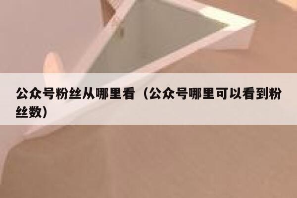 公众号粉丝从哪里看（公众号哪里可以看到粉丝数） 第1张