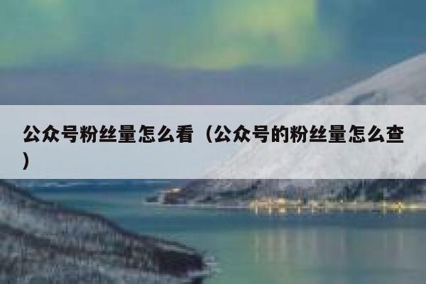 公众号粉丝量怎么看（公众号的粉丝量怎么查） 第1张