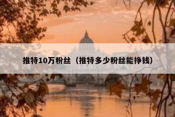 推特10万粉丝（推特多少粉丝能挣钱） 第1张